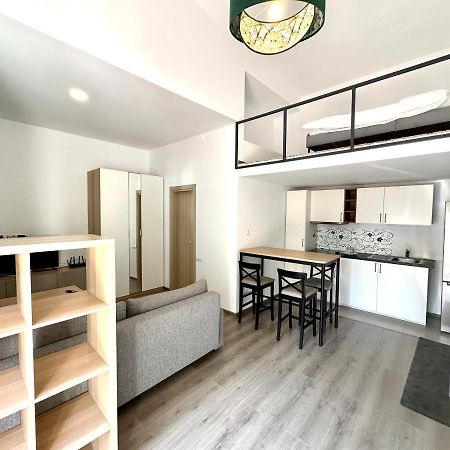 Zen House Apartment Buzau Exterior photo